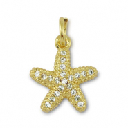 Metal TQ latón colgante estrella de mar Dorado