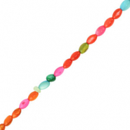 Abalorios conchas &oacute;valo Multicolor