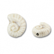Abalorios de cer&aacute;mica concha Blancuzco
