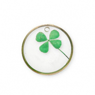 Colgantes con flores secas Dorado-verde