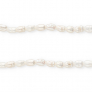 TQ Perlas de agua dulce grano de arroz 5x4mm Blanco natural