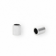 Fornituras acero inox terminal Ø2.5mm Plateado