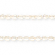 TQ Perlas de agua dulce grano de arroz 11x8mm Blanco natural
