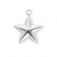 Colgantes Acero Inox estrella Plateado