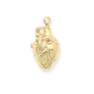 Colgantes Acero Inox con dise&ntilde;o anat&oacute;mico de coraz&oacute;n Dorado