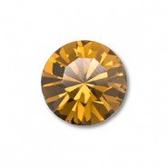 Preciosa Preciosa chatón