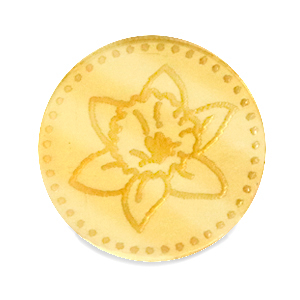 Cabuch&oacute;n Plexx 20mm Flor de nacimiento Marzo-Pascua Dorado