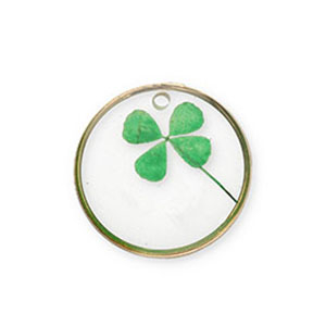 Colgantes con flores secas Dorado-verde