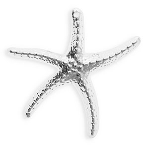 Colgantes acr&iacute;licos estrella de mar Platedado