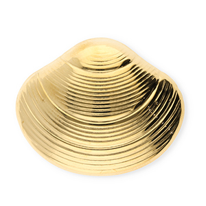 Broches llamativos in acero inox concha Dorado