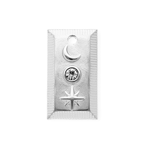 Colgantes Acero Inox con strass rect&aacute;ngulo con luna y estrella Plateado-cristal