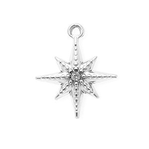 Colgantes Acero Inox con strass estrella Plateado-cristal